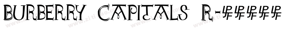 Burberry Capitals R字体转换
